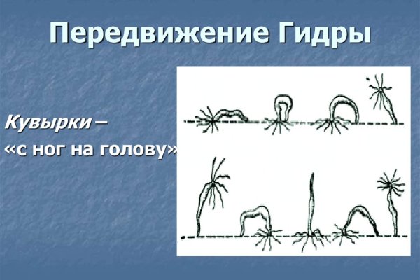 Онион ссылки для тор браузера