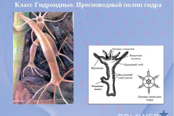 Мега ссылка онион настоящая