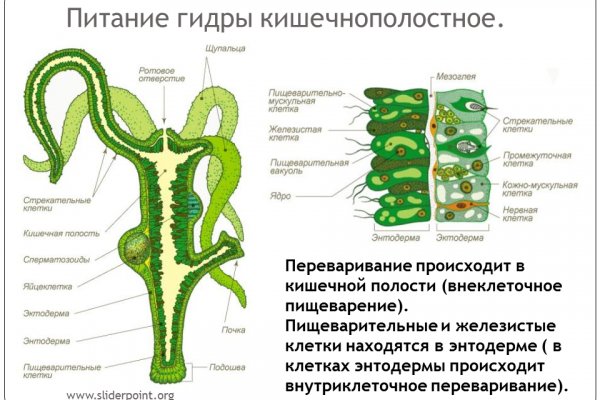 Площадка kraken onion